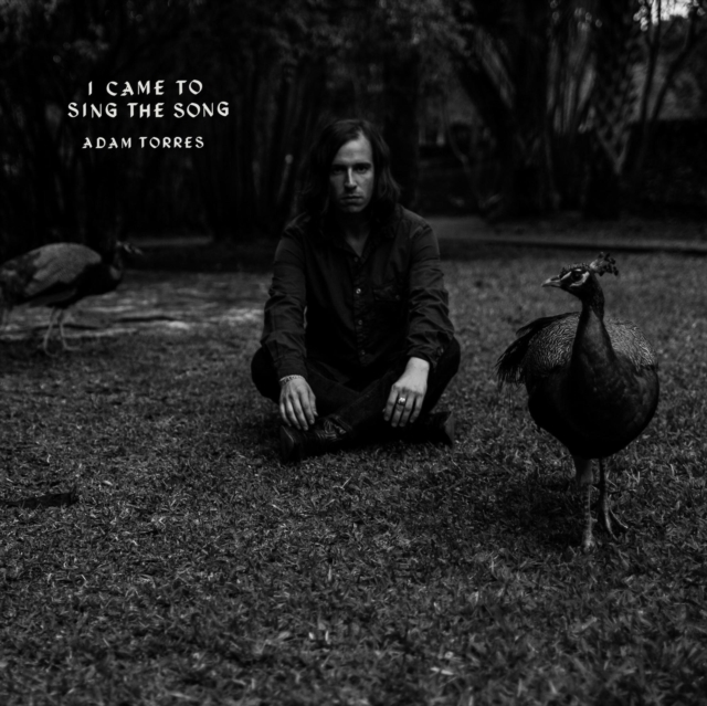 ADAM TORRES - I CAME TO SING THE SONG - 7 inch Vinyl
