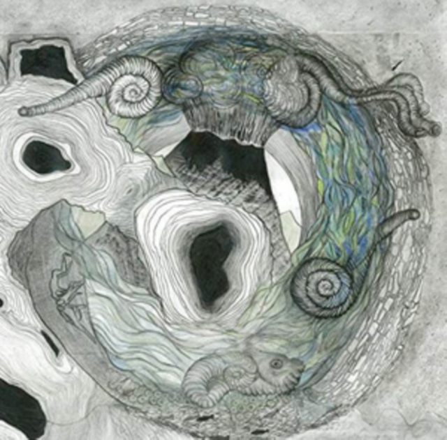 AINE O'DWYER - GALLARAIS - LP Vinyl