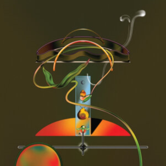 WAND - SPIDERS IN THE RAIN (2LP) - LP Vinyl