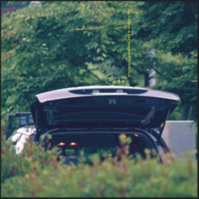 (PRE-ORDER) EIKO & JIM O'ROURKE ISHIBASHI - PAREIDOLIA - LP Vinyl