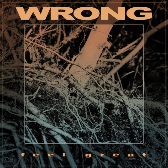 WRONG - FEEL GREAT - LP Vinyl