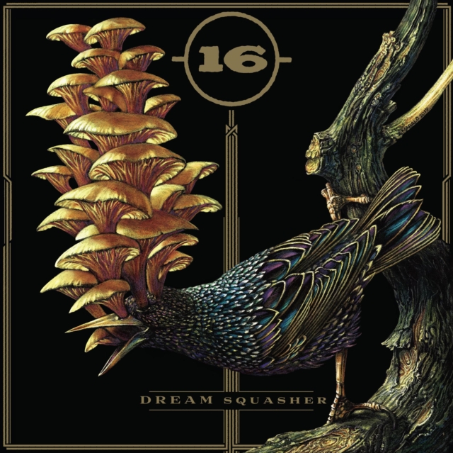 16 - DREAM SQUASHER - LP Vinyl