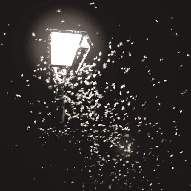 AMANTRA; MOTHBOY - TEN THOUSAND SWERVES / G & C - 7 inch Vinyl