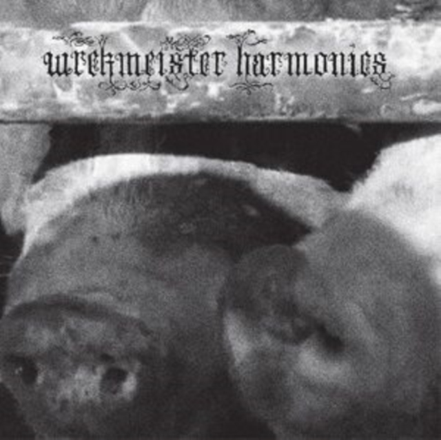 WREKMEISTER HARMONIES - FLOWERS IN THE SPRING - LP Vinyl