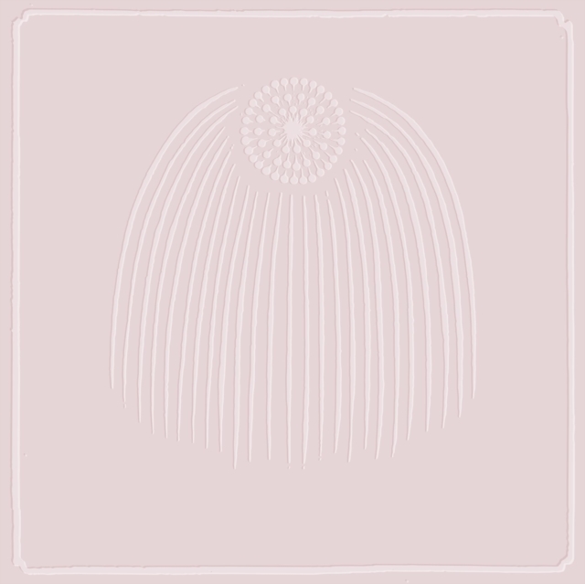 ALL GET OUT - ALL GET OUT - LP Vinyl