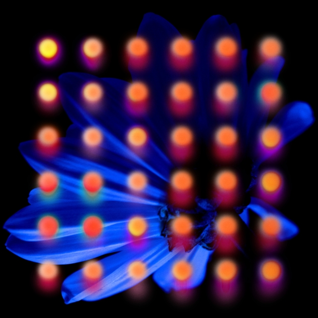 ANBERLIN - NEVERTAKE - LP Vinyl