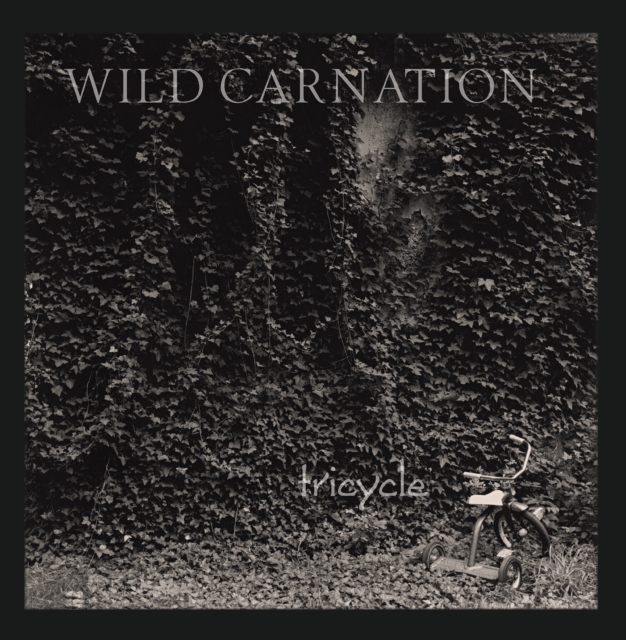0795528003212-1.jpg WILD CARNATION - TRICYCLE (CARNATION WHITE VINYL) - LP Vinyl