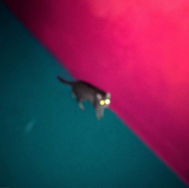 !!! (CHK CHK CHK) - WALLOP (2LP/DL CARD) - LP Vinyl