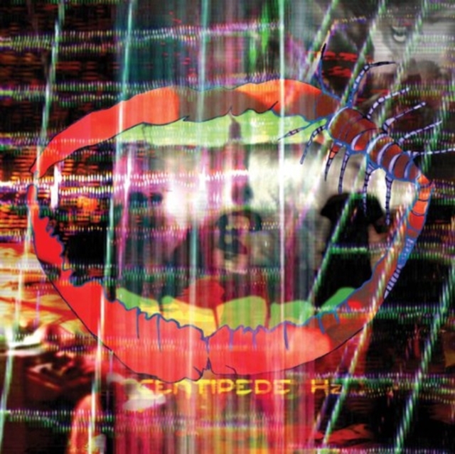 ANIMAL COLLECTIVE - CENTIPEDE HZ (DL CARD) - LP Vinyl