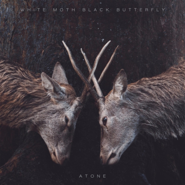 WHITE MOTH BLACK BUTTERFLY - ATONE (LP) - LP Vinyl