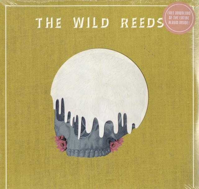 0803020180116-3.jpg WILD REEDS - WORLD WE BUILT - LP Vinyl