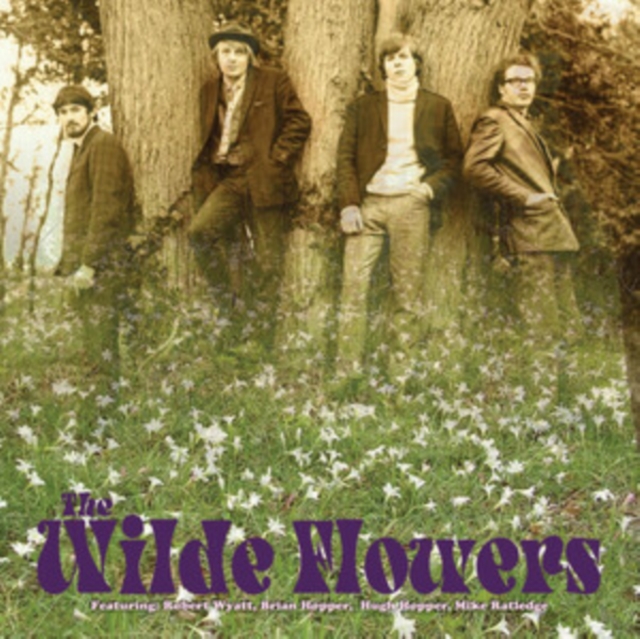 0805772646414.jpg WILDE FLOWERS - WILDE FLOWERS (CLEAR YELLOW VINYL) - LP Vinyl