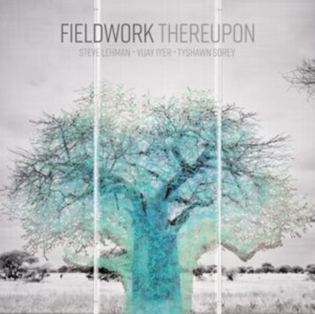 (PRE-ORDER) FIELDWORK - THEREUPON - LP Vinyl