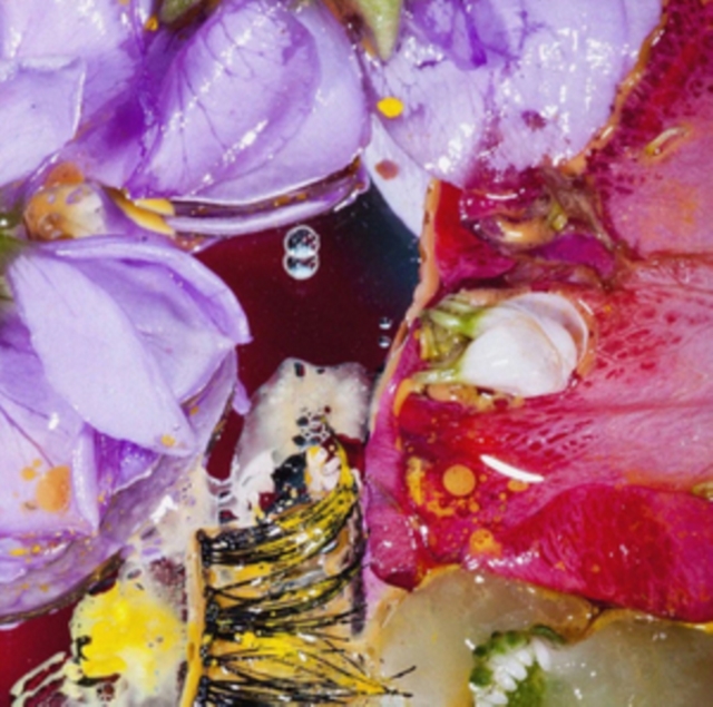 VIRGINIA WING - FORWARD CONSTANT MOTION - LP Vinyl