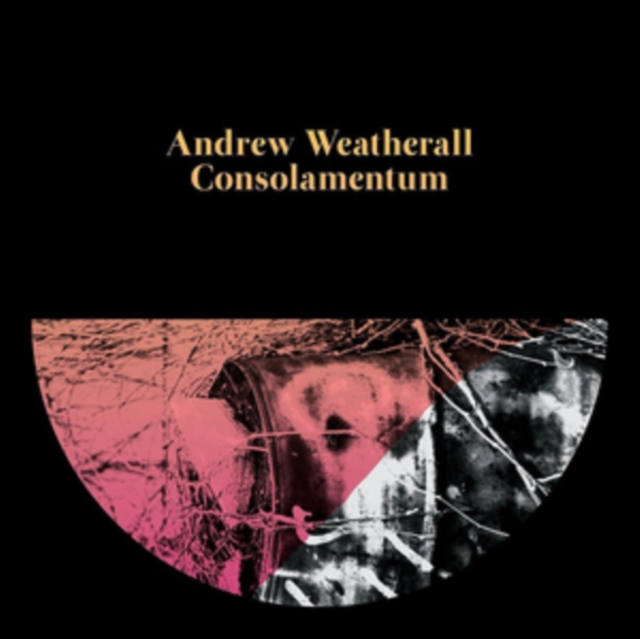 ANDREW WEATHERALL - CONSOLAMENTUM - LP Vinyl
