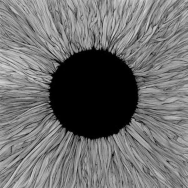 0810020503548-3.jpg VOLA - WITNESS (GLOW IN THE DARK VINYL) - LP Vinyl