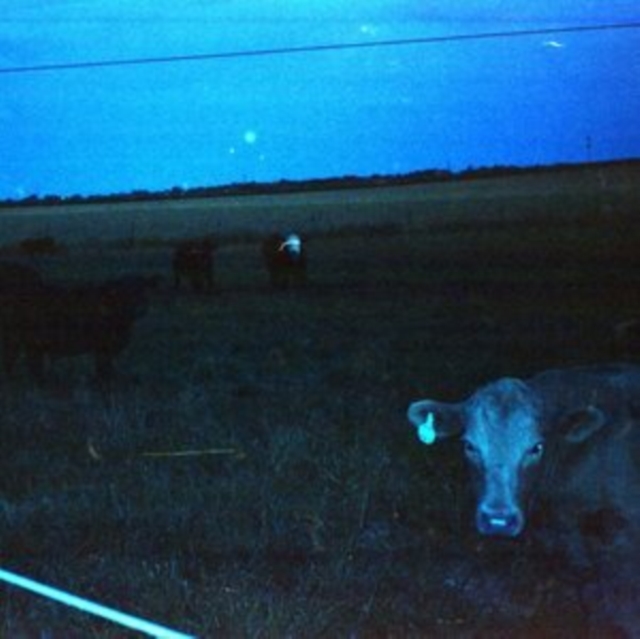 WAVEFORM - ANTARCTICA (DARK BLUE VINYL) - LP Vinyl