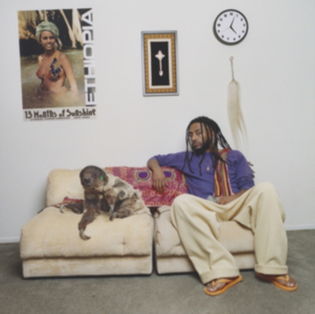 AMINE - 13 MONTHS OF SUNSHINE - LP Vinyl