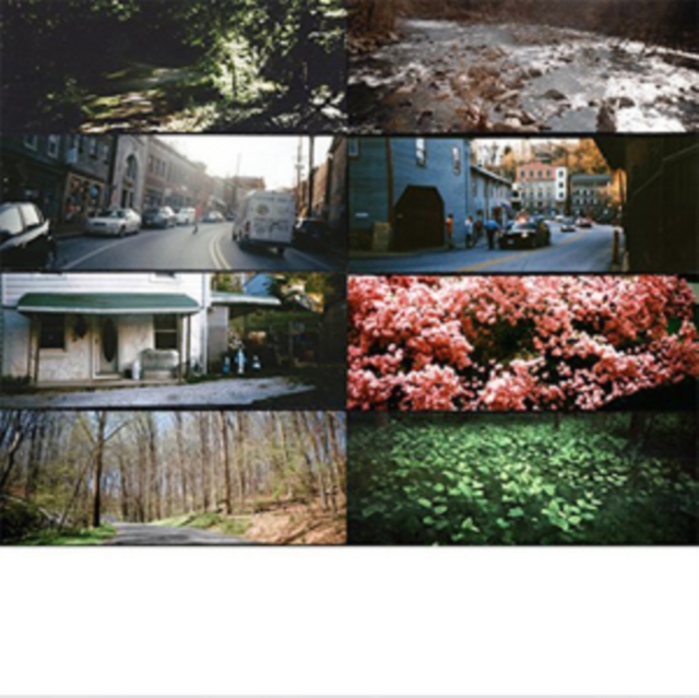 AMERICAN PLEASURE CLUB - WHOLE FUCKING LIFETIME OF THIS - LP Vinyl