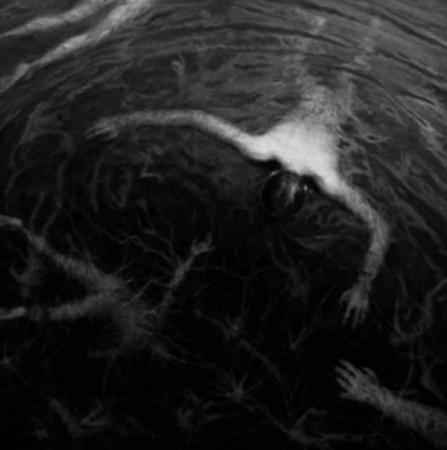 0822603989717.jpg ALTARAGE - APPROACHING ROAR - LP Vinyl