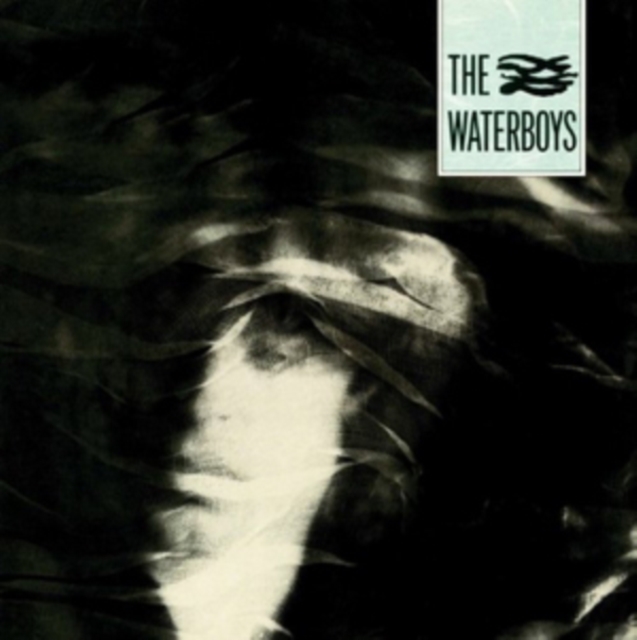 WATERBOYS - WATERBOYS - LP Vinyl