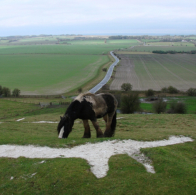 WAY THROUGH - CLAPPER IS STILL - LP Vinyl