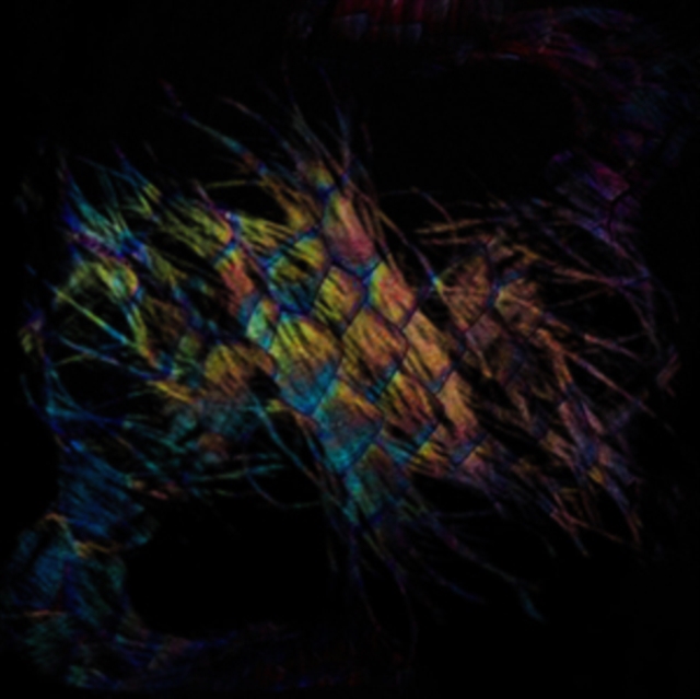 VAURA - SABLES - LP Vinyl