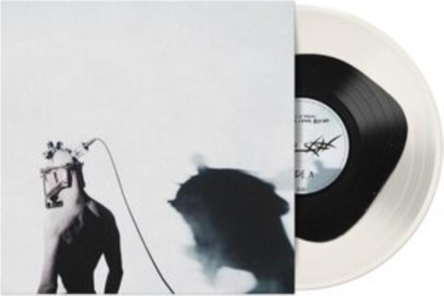 VOID OF VISION - WHAT I'LL LEAVE BEHIND - LP Vinyl