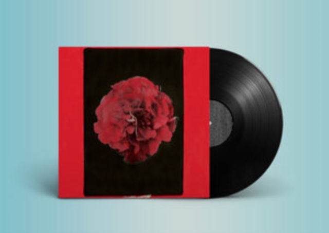 ACTIVITY - THOUSAND YEARS IN ANOTHER WAY - LP Vinyl