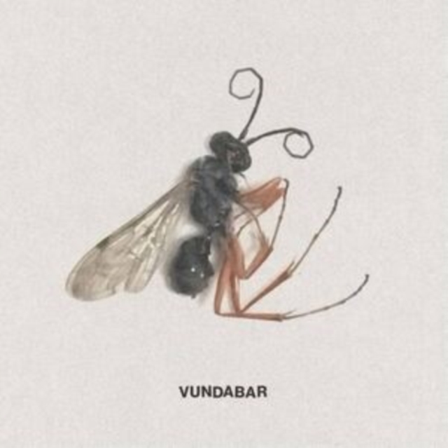 0843563184080-2.jpg VUNDABAR - GOOD OLD - LP Vinyl