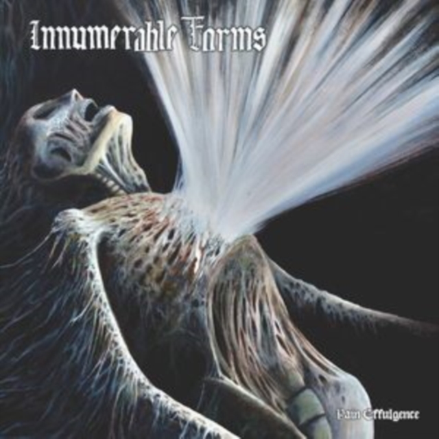 (PRE-ORDER) INNUMERABLE FORMS - PAIN EFFULGENCE - LP Vinyl