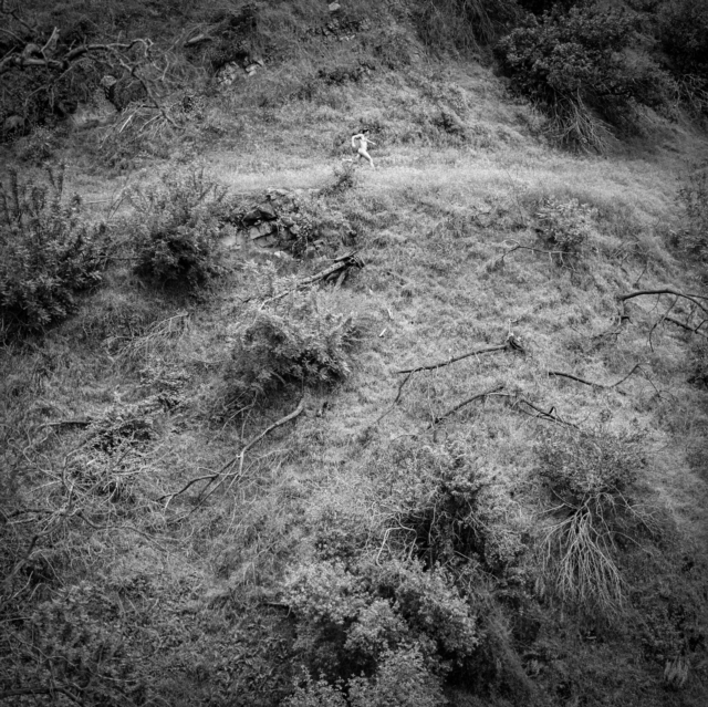 (PRE-ORDER) ANNA TIVEL - ANIMAL POEM - LP Vinyl