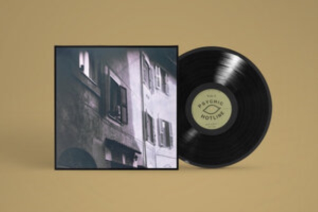 ANDY JENKINS - SINCE ALWAYS - LP Vinyl