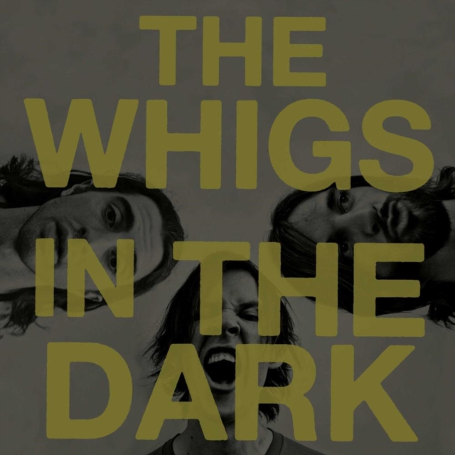 WHIGS - IN DARK - LP Vinyl