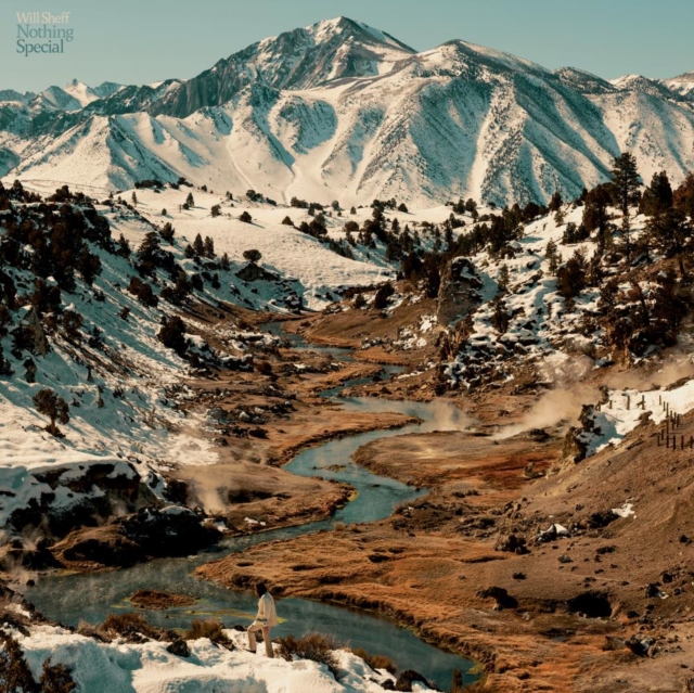 WILL SHEFF - NOTHING SPECIAL (ECO MIX/RECYCLED COLOR VINYL) - LP Vinyl