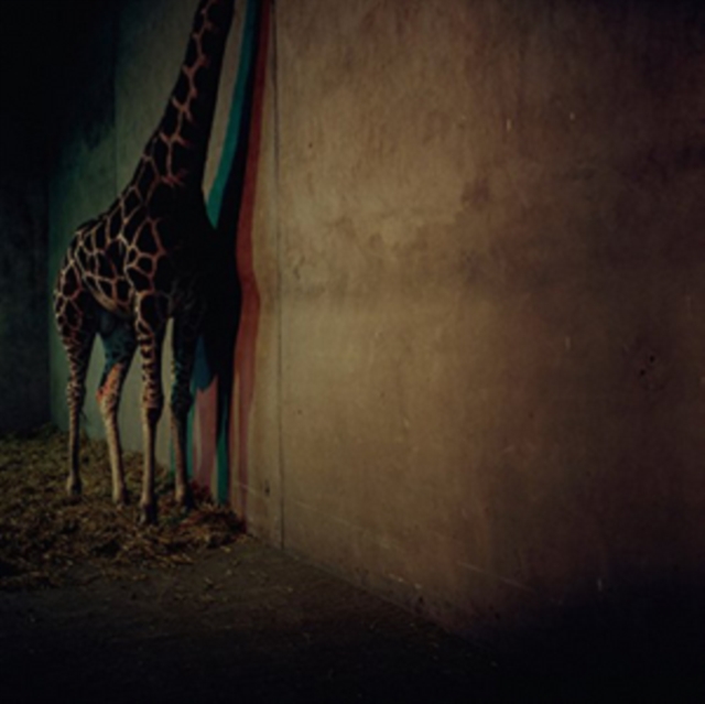 ALIEN ENSEMBLE - ALIEN ENSEMBLE 2 - LP Vinyl