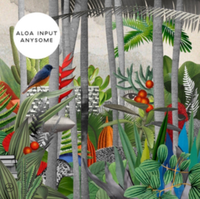 ALOA INPUT - ANYSOME - LP Vinyl