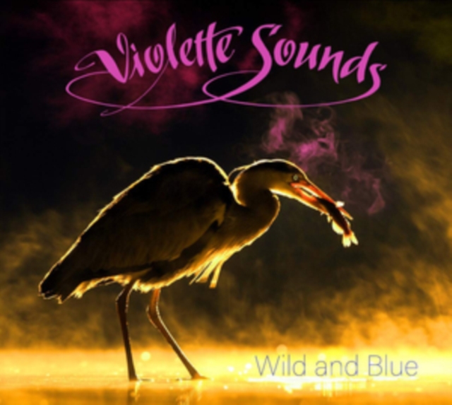 VIOLETTE SOUNDS - WILD & BLUE (LTD/PINK VINYL) - LP Vinyl