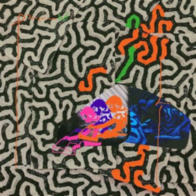 ANIMAL COLLECTIVE - TANGERINE REEF (2LP/DL CARD) - LP Vinyl
