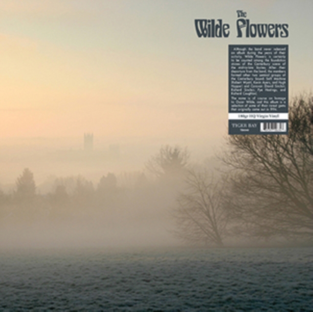 0889397106348-2.jpg WILDE FLOWERS - WILDE FLOWERS (180G) - LP Vinyl
