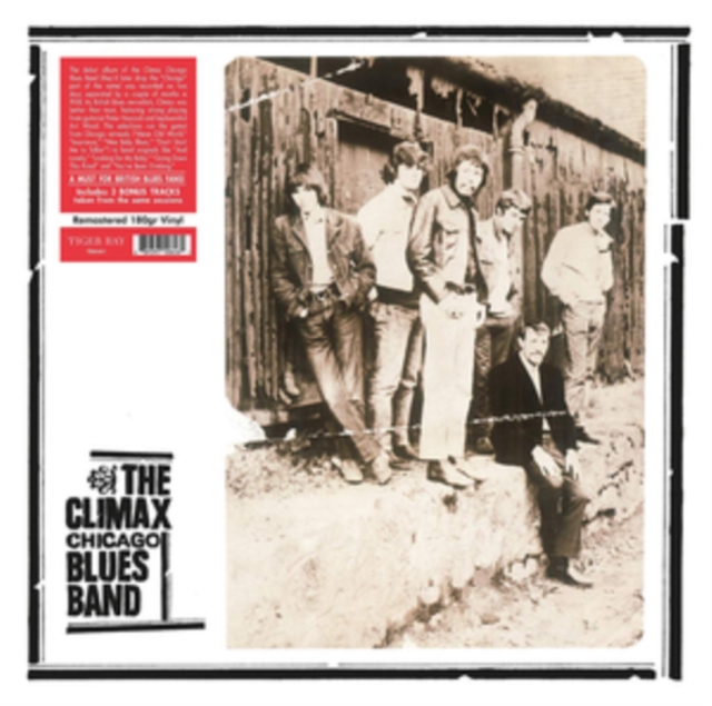 ALBERT DAILEY - RENAISSANCE NOVEMBER 2, 1977 - LP Vinyl