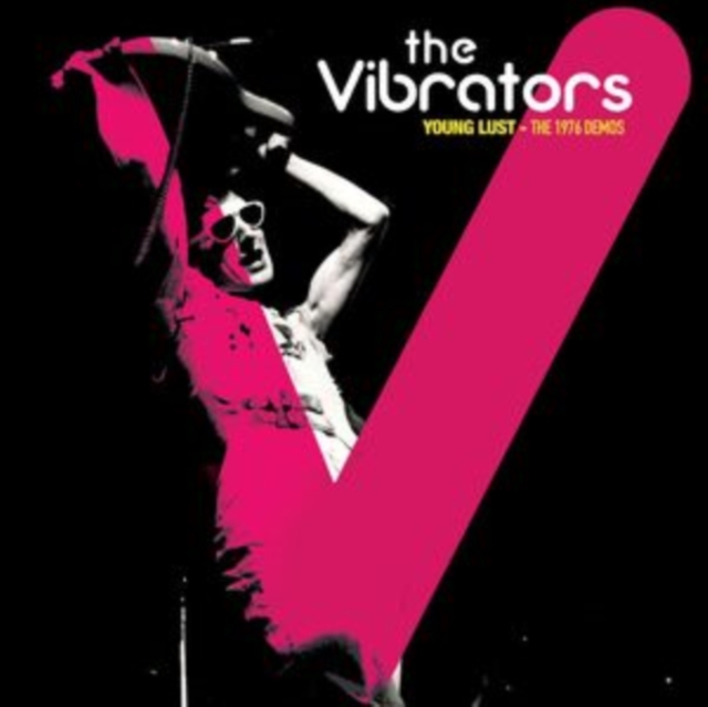 VIBRATORS - DEMOS 1976 (SPLATTER VINYL) - LP Vinyl
