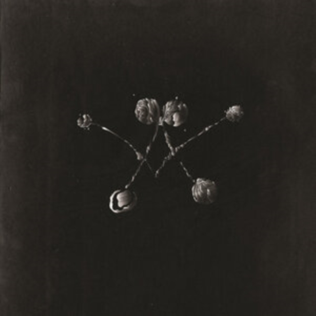 WATERSTRIDER - NOWHERE NOW (150G VINYL/DL CARD) - LP Vinyl