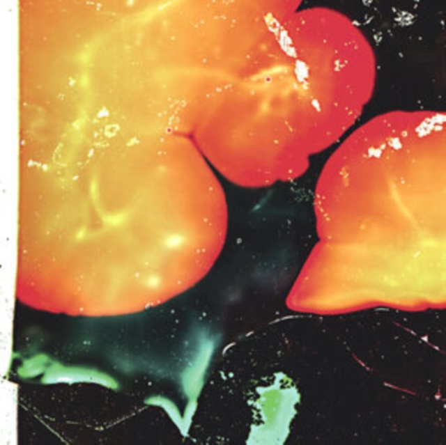 AMALIE DAHL'S DAFNIE - ST†R OP MED SOLEN - LP Vinyl