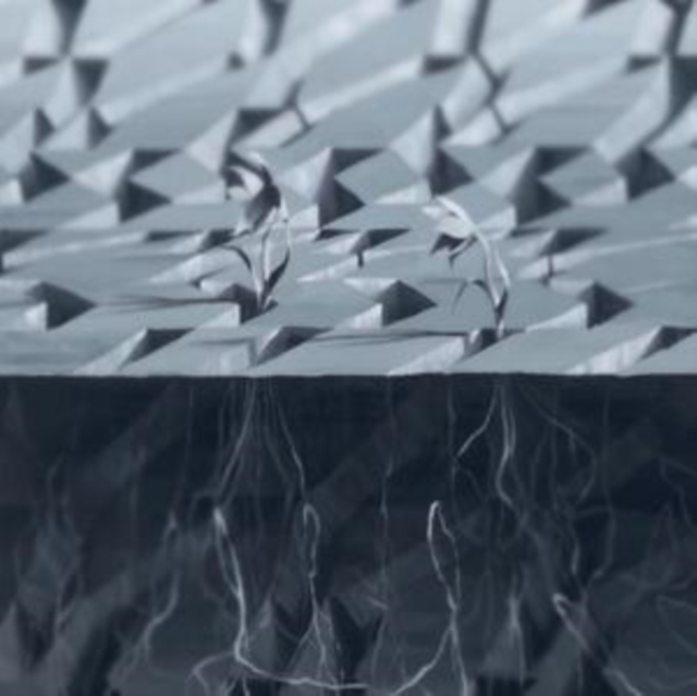 VICTOR TIMOFEEV - EXOCURSION (IMPORT) - LP Vinyl