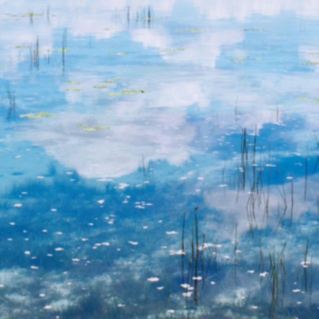 AMJ MEETS RSD - SKY BLUE LOVE VOL. 1 - LP Vinyl