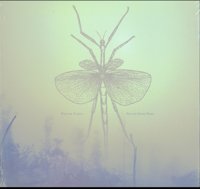 WINTER FAMILY - SOUTH FROM HERE - LP Vinyl