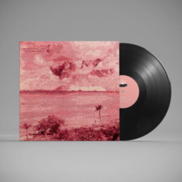 WINTER FAMILY - ON BEAUTIFUL DAYS - LP Vinyl