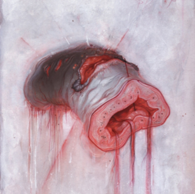 AMERICAN HERITAGE - PROLAPSE - LP Vinyl