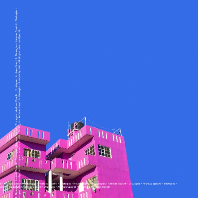 ANDREAS SPECHTL - STRATEGIES - LP Vinyl